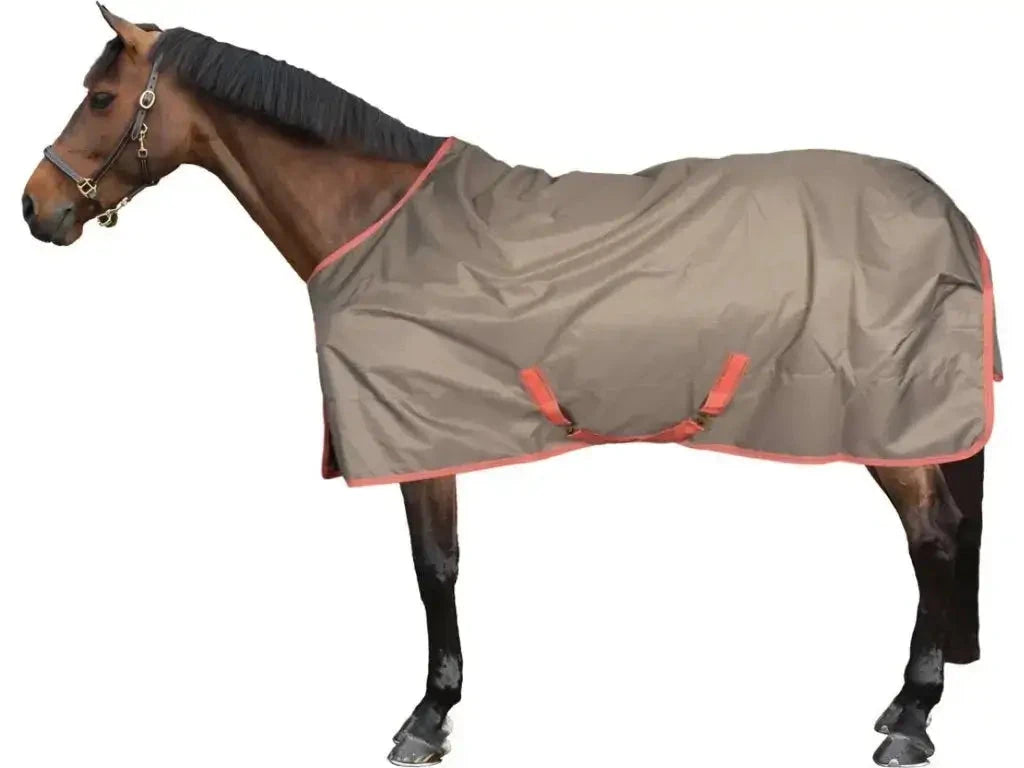 derka-padokowa-bucas-freedom-turnout-light